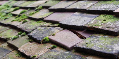 Morborne roof repair costs
